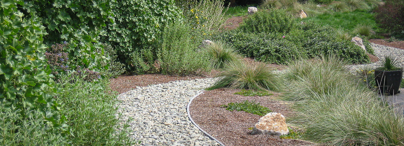 Garden Scene 5