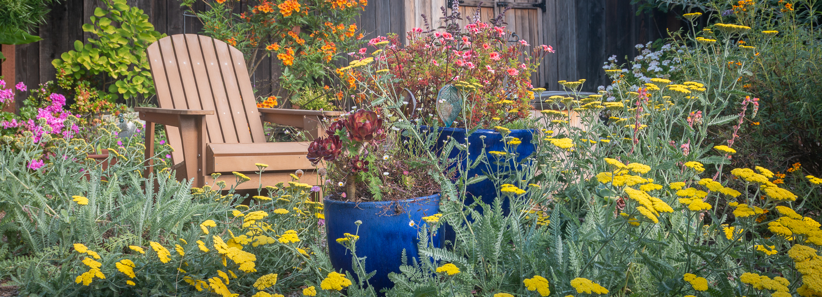 Front Gardens