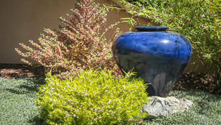 Portfolio Detail